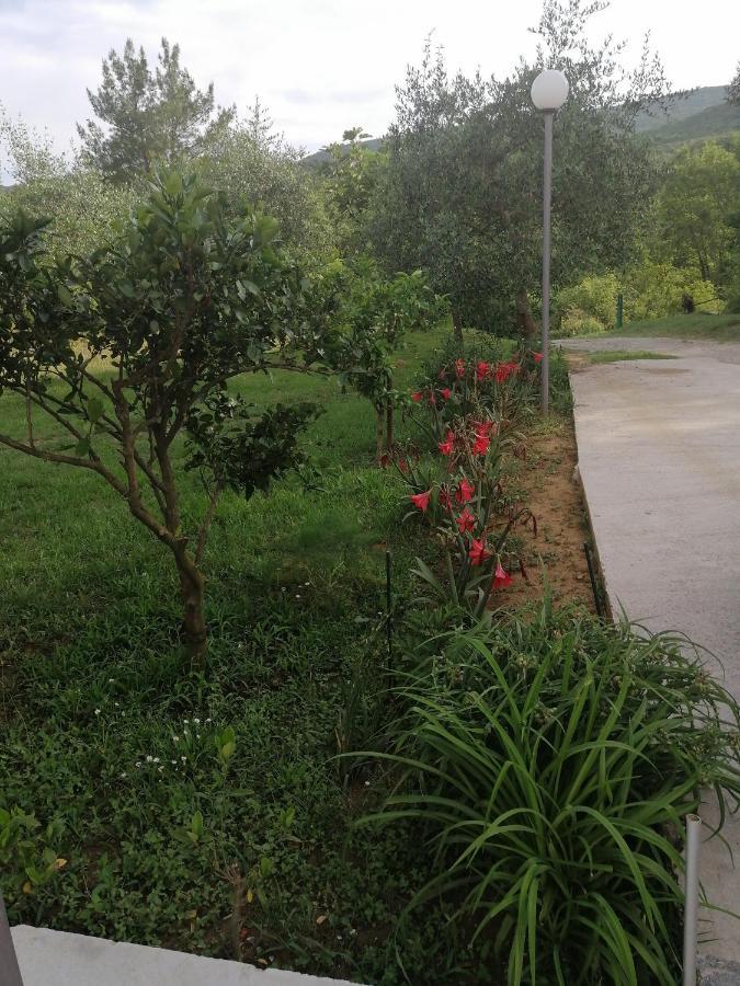 Apartman Petovic Kotor Exterior photo
