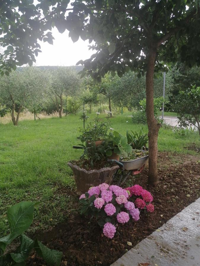 Apartman Petovic Kotor Exterior photo
